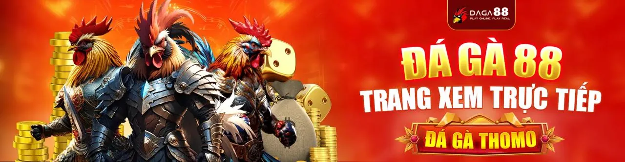 Lợi ích độc quyền của câu lạc bộ VIP win456 chính thức